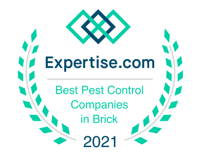 Brick Pest Control Services